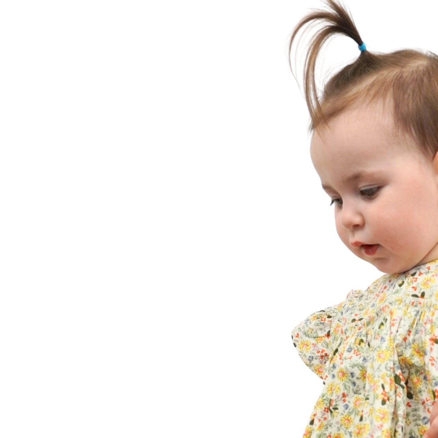 Ruffle Sleeve Baby Dress Mini Garden